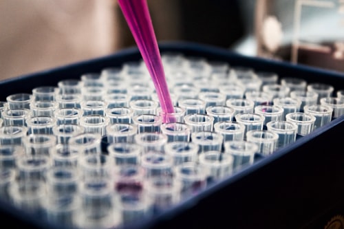 Bachelor of Medical Laboratory Science (B.MLS)
